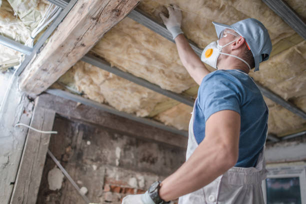 Best Insulation Installation Services in Boaz, WV